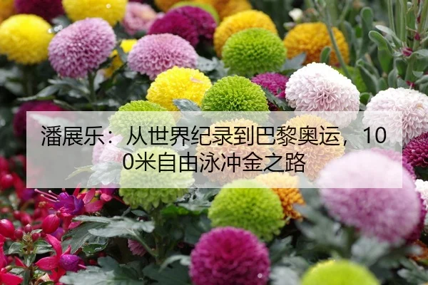 潘展乐：从世界纪录到巴黎奥运，100米自由泳冲金之路